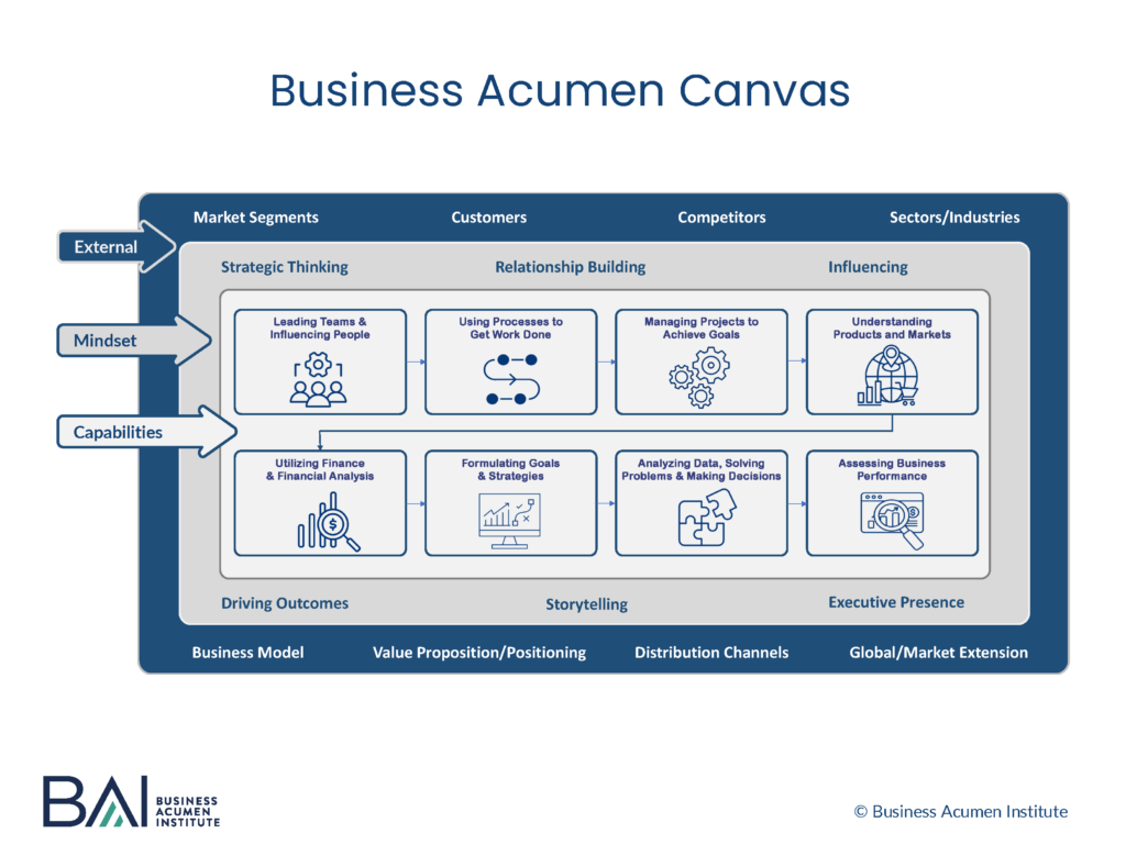 business acumen canvas